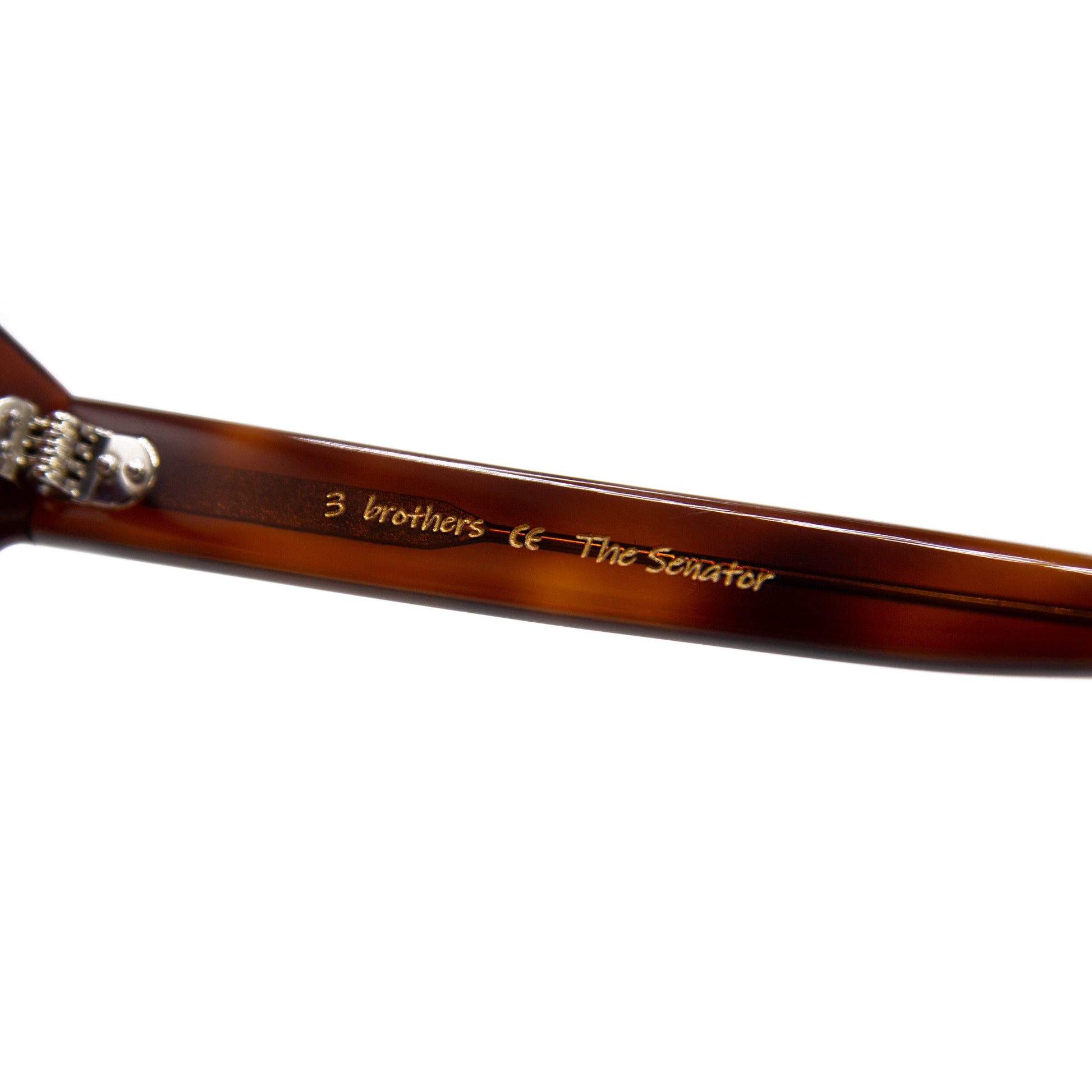 3 brothers - The Senator - Tortoise - Prescription Glasses - Hinge