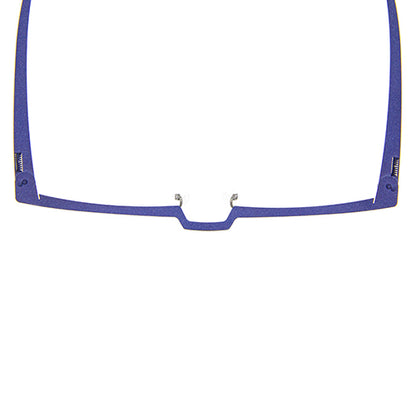 Theo-Eyewear-Agria-443